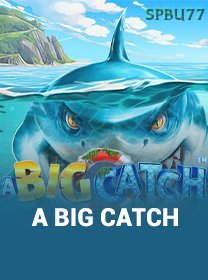 A Big Catch game cover